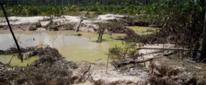 SOS Orinoco advierte que las guerrillas colombianas cometen un ecocidio al sur del Orinoco