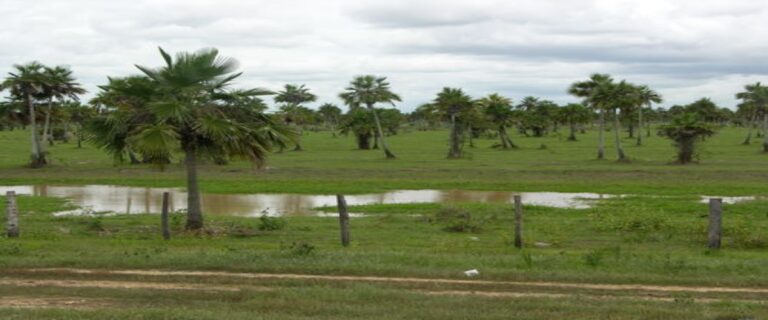 50 hombres del ELN habrían tomado un sector en Guasdualito